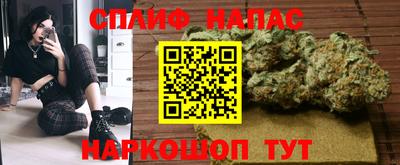 прущие грибы Малоярославец